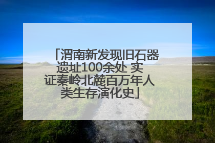 渭南新发现旧石器遗址100余处 实证秦岭北麓百万年人类生存演化史