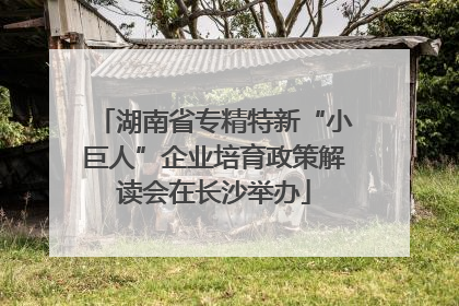 湖南省专精特新“小巨人”企业培育政策解读会在长沙举办