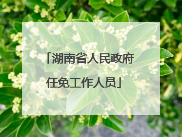 湖南省人民政府任免工作人员
