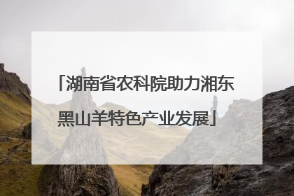 湖南省农科院助力湘东黑山羊特色产业发展