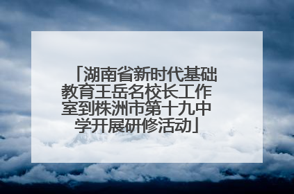 湖南省新时代基础教育王岳名校长工作室到株洲市第十九中学开展研修活动