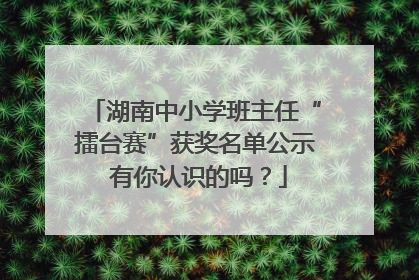 湖南中小学班主任“擂台赛”获奖名单公示 有你认识的吗？