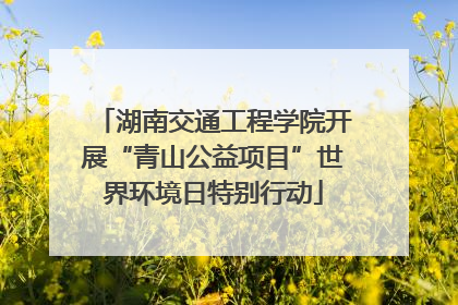 湖南交通工程学院开展“青山公益项目”世界环境日特别行动
