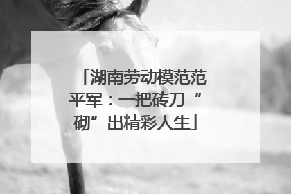 湖南劳动模范范平军：一把砖刀“砌”出精彩人生
