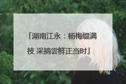 湖南江永：杨梅缀满枝 采摘尝鲜正当时