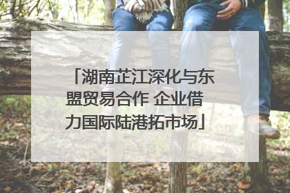 湖南芷江深化与东盟贸易合作 企业借力国际陆港拓市场