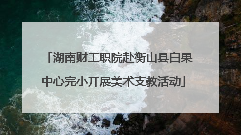 湖南财工职院赴衡山县白果中心完小开展美术支教活动