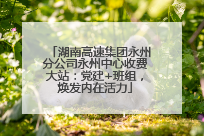 湖南高速集团永州分公司永州中心收费大站：党建+班组，焕发内在活力