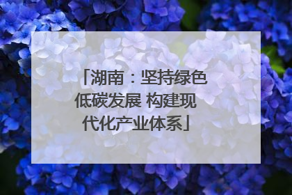 湖南：坚持绿色低碳发展 构建现代化产业体系