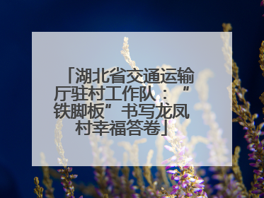 湖北省交通运输厅驻村工作队：“铁脚板”书写龙凤村幸福答卷