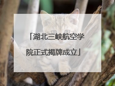 湖北三峡航空学院正式揭牌成立