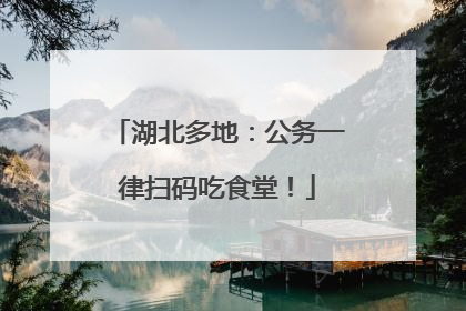 湖北多地：公务一律扫码吃食堂！