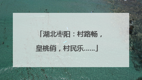 湖北枣阳：村路畅，皇桃俏，村民乐……