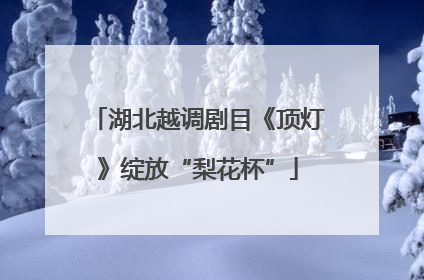 湖北越调剧目《顶灯》绽放“梨花杯”