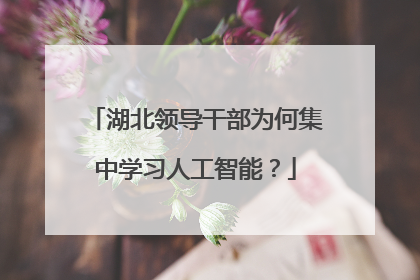 湖北领导干部为何集中学习人工智能？