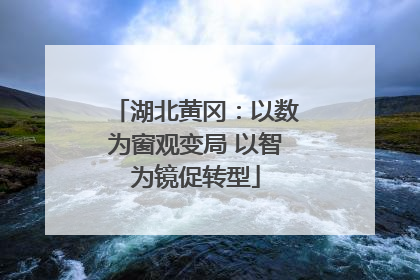 湖北黄冈：以数为窗观变局 以智为镜促转型