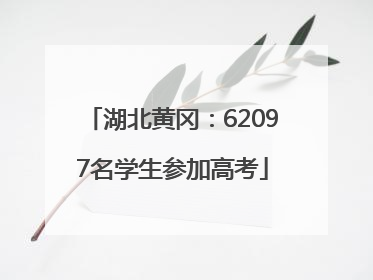 湖北黄冈：62097名学生参加高考