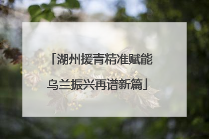 湖州援青精准赋能 乌兰振兴再谱新篇