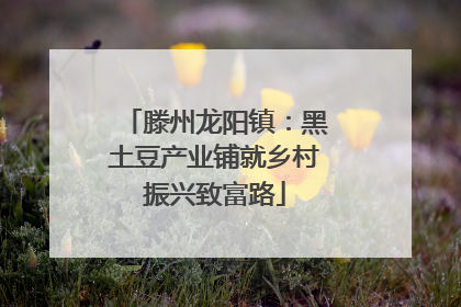 滕州龙阳镇：黑土豆产业铺就乡村振兴致富路