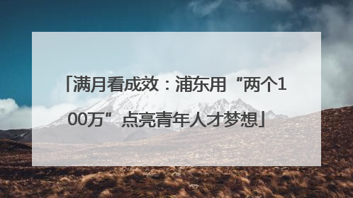 满月看成效：浦东用“两个100万”点亮青年人才梦想