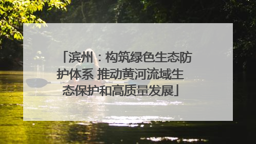 滨州：构筑绿色生态防护体系 推动黄河流域生态保护和高质量发展