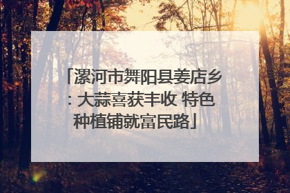 漯河市舞阳县姜店乡：大蒜喜获丰收 特色种植铺就富民路