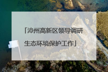 漳州高新区领导调研生态环境保护工作
