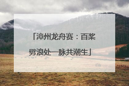 漳州龙舟赛：百桨劈浪处一脉共潮生