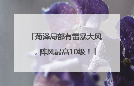 菏泽局部有雷暴大风，阵风最高10级！