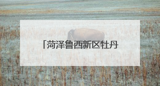 菏泽鲁西新区牡丹文创亮相第二十一届中国（深圳）国际文化产业博览交易会