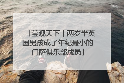 莹观天下｜两岁半英国男孩成了年纪最小的门萨俱乐部成员