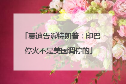 莫迪告诉特朗普：印巴停火不是美国调停的