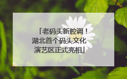 老码头新腔调！湖北首个码头文化演艺区正式亮相