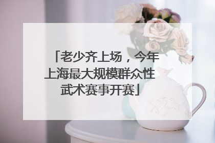 老少齐上场，今年上海最大规模群众性武术赛事开赛