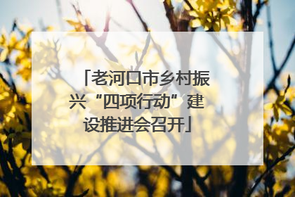 老河口市乡村振兴“四项行动”建设推进会召开