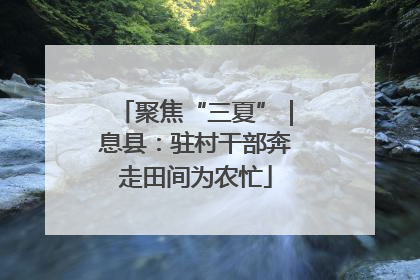 聚焦“三夏”｜息县：驻村干部奔走田间为农忙