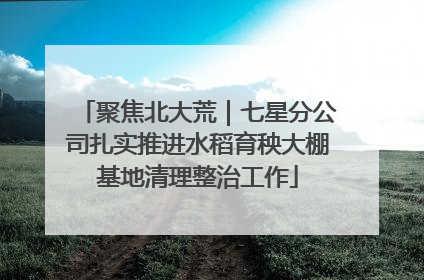 聚焦北大荒｜七星分公司扎实推进水稻育秧大棚基地清理整治工作