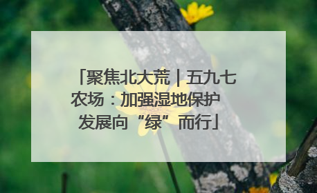聚焦北大荒｜五九七农场：加强湿地保护 发展向“绿”而行