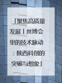 聚焦高质量发展丨丝博会里的技术脉动：陕西科创的突破与想象