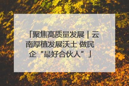聚焦高质量发展｜云南厚植发展沃土 做民企“最好合伙人”