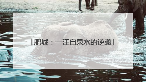 肥城：一汪自泉水的逆袭