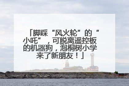 脚踩“风火轮”的“小吒”，可脱离遥控板的机器狗，泡桐树小学来了新朋友！