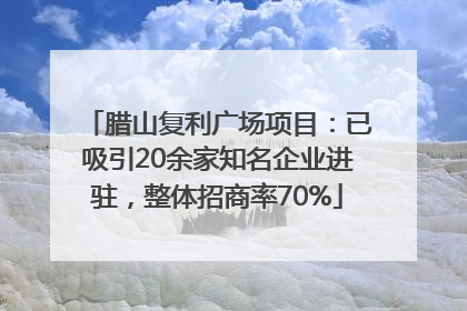 腊山复利广场项目：已吸引20余家知名企业进驻，整体招商率70%