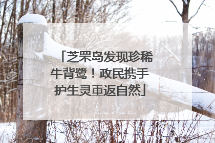 芝罘岛发现珍稀牛背鹭！政民携手护生灵重返自然