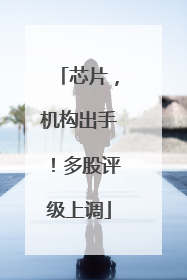 芯片，机构出手！多股评级上调