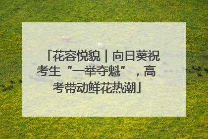 花容悦貌｜向日葵祝考生“一举夺魁”，高考带动鲜花热潮