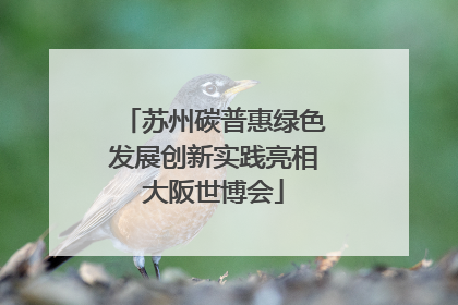 苏州碳普惠绿色发展创新实践亮相大阪世博会