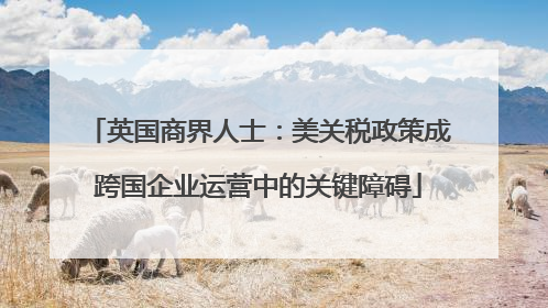英国商界人士：美关税政策成跨国企业运营中的关键障碍