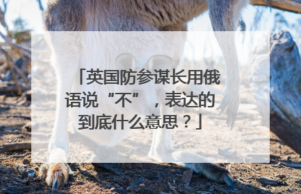 英国防参谋长用俄语说“不”，表达的到底什么意思？