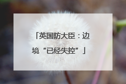 英国防大臣：边境“已经失控”